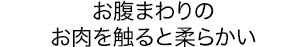 お腹まわりのお肉を触ると柔らかい