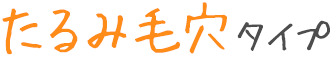たるみ毛穴タイプ